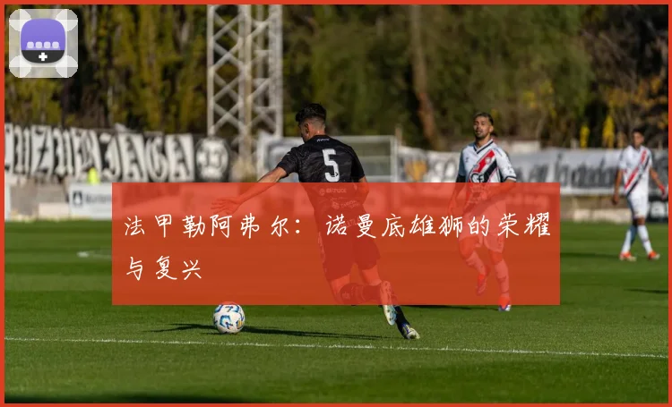 法甲勒阿弗尔：诺曼底雄狮的荣耀与复兴