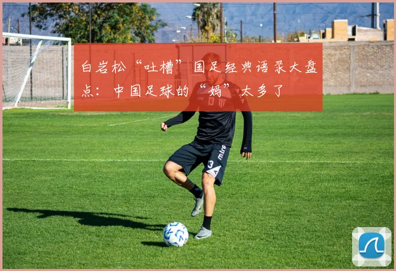 白岩松“吐槽”国足经典语录大盘点：中国足球的“妈”太多了
