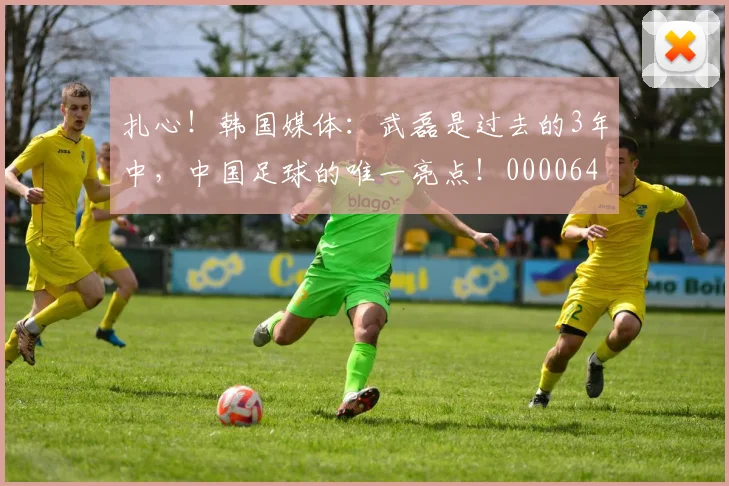 扎心！韩国媒体：武磊是过去的3年中，中国足球的唯一亮点！0000644